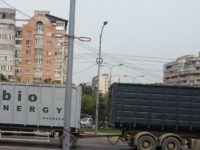 Reprezentanţi din şapte ţări cer Curţii Europene de Justiţie să excludă biomasa forestieră dintre resursele de energie regenerabilă