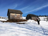 Lumină în patru case din Brodina de Sus