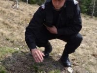 Peste 400 de bombe descoperite şi asanate de pirotehniştii suceveni