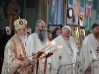 În 19 ani „pustia de dinainte a înflorit precum crinul”