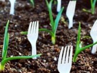 Produsele din plastic de unică folosinţă nu mai pot fi introduse pe pieţele statelor membre UE