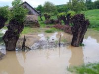 Mai multe curţi şi un subsol inundate la Siret