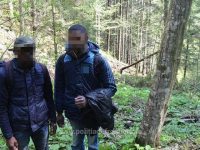 Doi migranţi din Guineea Franceză şi Gambia, prinşi la Falcău
