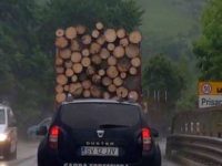 Gardienii forestieri au operat 62 de sesizări penale pentru încălcarea gravă a legislaţiei silvice