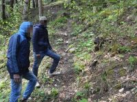 Patru migranţi din Algeria, Guineea şi Sierra Leone, depistaţi de poliţiştii de frontieră suceveni