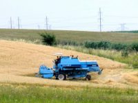 Recolte surprinzătoare la culturile de cereale din judeţ