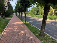 Ritmul lucrărilor de modernizare a străzilor şi trotuarelor este susţinut şi se deschid noi şantiere pe măsură ce se finalizează altele
