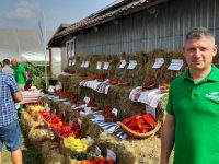 „N-am pierdut vremea astăzi, aici...”