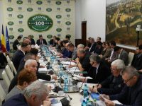 Dialog între mediul de business românesc şi antreprenorii din diaspora