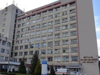 Fetiţa căreia i-au fost replantate braţele după accident a mişcat mâna dreaptă