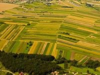 1.200 ha de terenuri agricole din extravilan au fost vândute