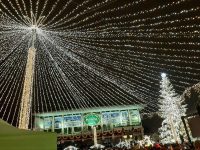 S-au aprins luminile de sărbători şi s-a deschis Târgul de Crăciun
