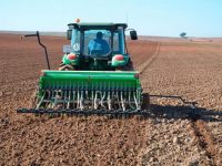 Culturi pe 85.000 ha sunt estimate a fi înfiinţate în această primăvară