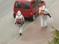 Primăria Suceava a cheltuit degeaba în jur de 400.000 de lei cu stropitul străzilor şi trotuarelor contra SARS-CoV-2