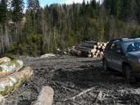 Verificările din ultimele 3 luni au dus la amenzi de peste 200.000 de lei