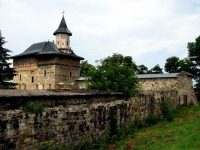 Pădurea Zamca, „nod important în reţeaua verde a oraşului” Suceava