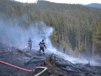 Cu incendiile de vegetaţie nu e de joacă, iar acest lucru se vede cel mai bine în Grecia sau Turcia!