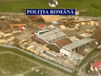 Amenzi de aproape 150.000 de lei şi peste 3.000 mc de material lemnos confiscaţi
