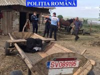 Doi bărbaţi din Dumbrăveni, plasaţi sub control judiciar pentru maltratarea unui cal