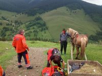 Salvamont Suceava a salvat un copil rănit de un cal
