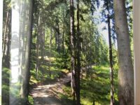 Răsfoind reviste bucovinene