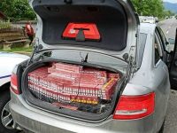 Cu preţul vieţii, cinci oi au stat în calea unui contrabandist