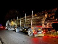 Angajaţii ISCTR au amânat să cântărească un camion posibil supraîncărcat cu lemne