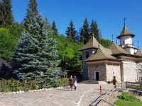 IPS Calinic vrea să înfiinţeze un muzeu în memoria IPS Pimen Suceveanul