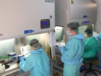 Testare gratuită permanentă a cadrelor didactice din municipiul Suceava