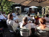 „Ferma de Artă” de la Liteni