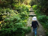 Ion Lungu ceartă societatea civilă şi partidele care vor să-şi asume merite pentru parcul Şipote