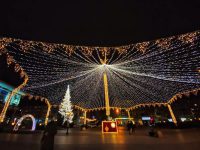 Luminiţele din Bradul de Crăciun vor fi aprinse fără fast