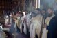 inmormantare patrolea 2