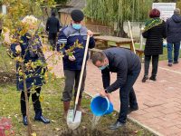 Conducerea Primăriei Suceava a început campania de plantare de arbori
