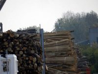 Preţul de producere a energiei termice în centrala pe biomasă a Bioenergy scade cu aproape o cincime
