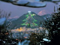 Cel mai mare pom de Crăciun din lume şi-a aprins luminiţele