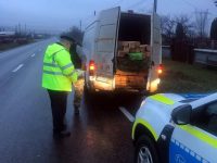 Autoutilitară confiscată de poliţiştii suceveni pentru transporturi repetate de material lemnos fără provenienţă legală