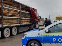 Trei transporturi de material lemnos semnalate de activişti de mediu ca fiind ilegale