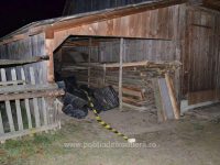Aproape 15.000 de pachete cu ţigări de contrabandă au fost găsite de poliţiştii de frontieră într-un imobil nelocuit