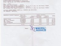 Primarul Ion Lungu a economisit 33,5 lei din totalul obligaţiilor pe care le avea către vistieria municipală