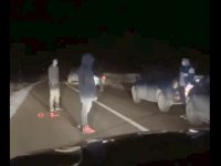 Activişti de mediu şicanaţi în trafic şi ameninţaţi