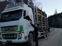 Activitatea unor cetăţeni care şi-au făcut un obicei din a reclama transporturi ilegale poate fi combătută cu înregistrările video