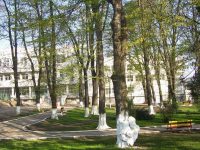 Construcţia unui nou corp al USV în Parcul Areni nu este benefică pentru oraş
