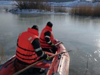 Pompierii militari suceveni au salvat două lebede