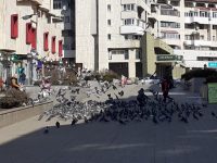 Şi eu m-am săturat să aud că în Suceava e mizerie