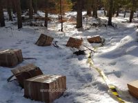 Focuri de armă în zona comunei Izvoarele Sucevei