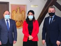 Vicepreşedintele CJ Suceava Niculai Barbă i-a prezentat secretarului de stat pentru Românii de Pretutindeni proiectele judeţului pentru diaspora
