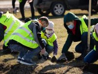 Fabrica de ambalaje UrsPack lansează campania #1copacpean şi plantează 50.000 de puieţi