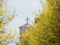 Vindecarea şi speranţa celor bolnavi. Omul şi Biserica