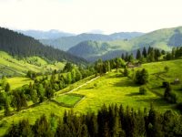 Bucovina, o fabrică de făcut bani